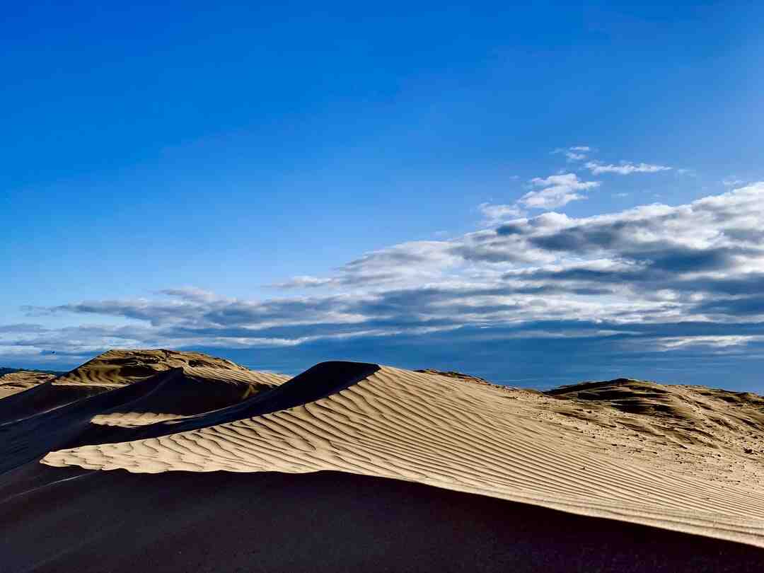 Qu'est-ce qu'un amiibo switch ?