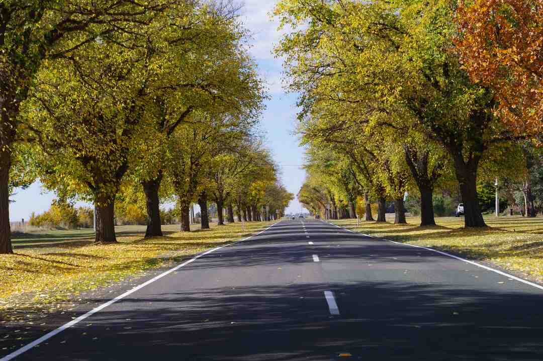 Who does Leon Kennedy marry?