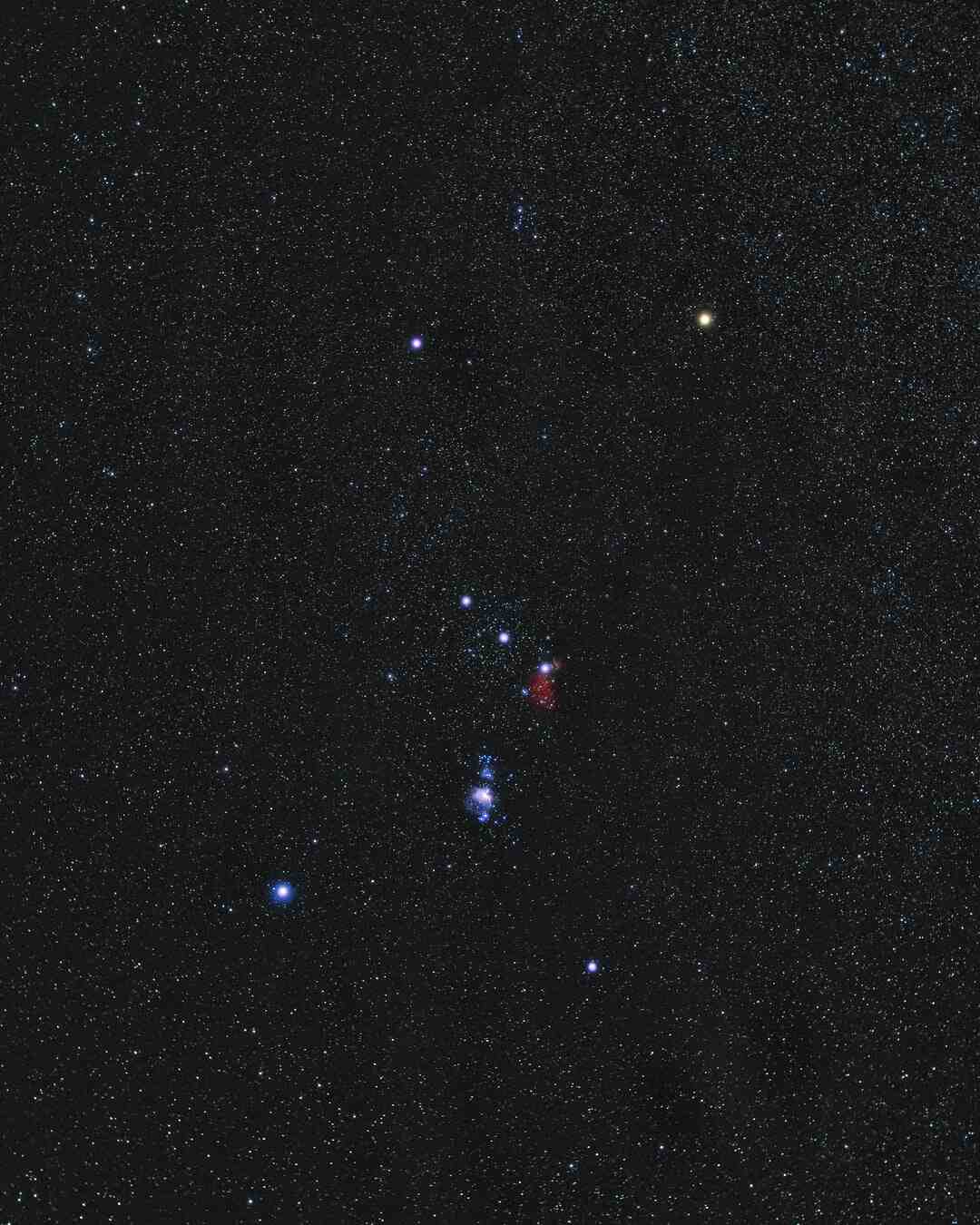 Est-ce que les arbres repoussent Stranded Deep ?