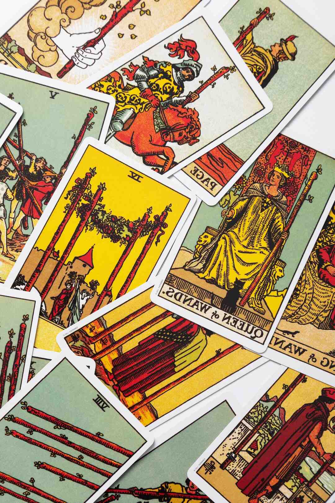 Is baby dragon a girl?