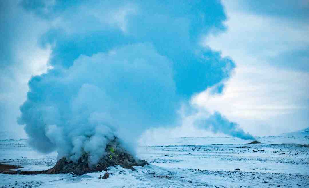 What animal is knuckles?